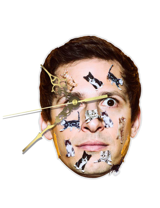 Andy Samberg