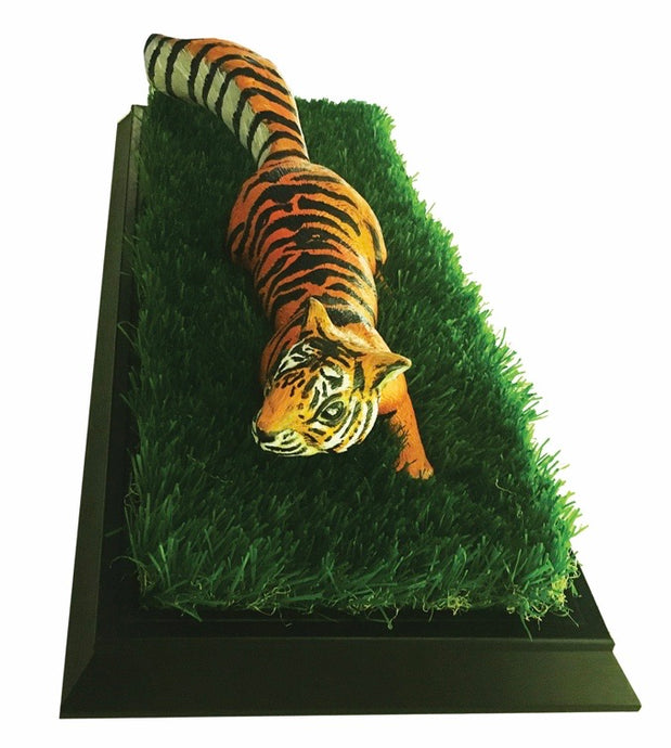 Can't Change the Stripes on a Squirrel